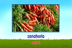 Intro Spanish Lesson: Words for Foods Instructional Video