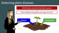 Detecting and Identifying Plant Diseases Instructional Video
