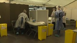 CLEAN : Covid-19: in Lyon, testing at the Palais des Sports attracts crowds News Clip