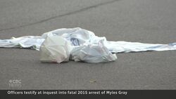 Family doubts officers' testimony that force was justified at Myles Gray Inquest News Clip