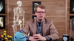 Reproductive System part 3 Sex & Fertilization Crash Course A&P 42 Instructional Video