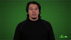 Why Was the Islamic Golden Age of Science… Golden? Instructional Video