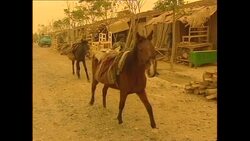 Afghanistan stockshots News Clip