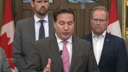 Reporters question minister on implementation of mass casualty report recommendations News Clip