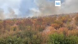 Firefighting teams tackle wildfires in Albania and Croatia as heatwave blisters region Instructional Video