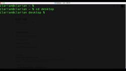 Express Framework Mastery: From Beginner to Advanced with Node.js - Set Up the Node Web Server Root Directories Instructional Video