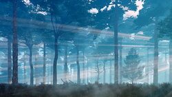 Magical firefly lights in mystic forest at dusk Cinemagraph Stock Footage