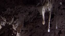 Looking for Life in the Clouds of Venus News Clip