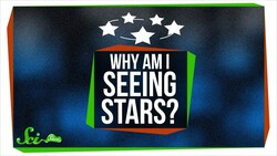 Visual Illusions: Why You See Things That Aren't There Instructional Video