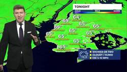 Damp stretch continues across NYC News Clip