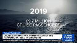 Cruises are making a post-pandemic comeback. Here's how the industry is changing to meet demand News Clip