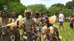 VOICED : Zulu worshippers don fake fur to save Sou News Clip