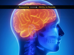 Mathematical Statements Instructional Video