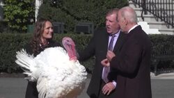 CLEAN : President Biden pardons Thanksgiving turkeys at White House News Clip