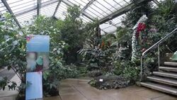 CLEAN : London's Kew Gardens celebrates Costa Rica at annual orchid fest News Clip