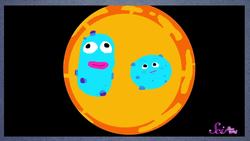 Why Are Wet Dogs Smelly? Instructional Video