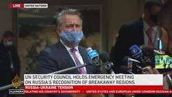 Ukraine Slams Russia At UNSC: 'Attacked by Kremlin virus' News Clip