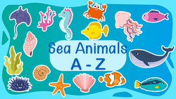 26 Amazing Sea Animals from A to Z Instructional Video
