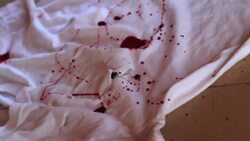 How to Make a Zombie Costume Instructional Video