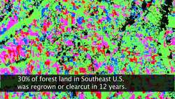 NASA | When Trees Fall, Landsat Maps Them Instructional Video