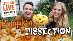 Pumpkin Dissection! | Learn the Parts of a Pumpkin | Maddie Moate Instructional Video