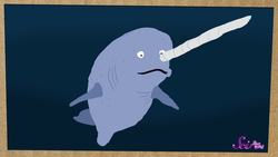 Narwhals: Unicorns of the Sea! Instructional Video