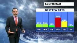 HEAT ALERT: Mostly sunny skies in Brooklyn with feels-like temperatures in the mid 90s News Clip