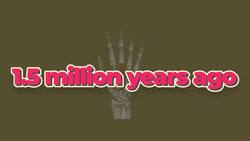 Why Are Fingers Different Lengths? Instructional Video