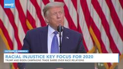 Expert Says Racial Injustice Will Be Key 2020 Topic News Clip