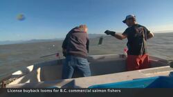 B.C. fisherman grapple with shrinking industry News Clip