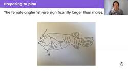 Planning a section about anglerfish appearance for a non-chronological report Instructional Video