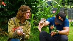 Secrets of Sugar Gliders REVEALED! Not as Cute as they LOOK! Instructional Video