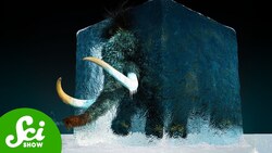 Permafrost Is Not What You Think It Is Instructional Video