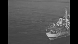 Helicopters fly wounded from Korean front to the US Navy's floating hospital USS Consolation afloat off the waters of South Korea News Clip