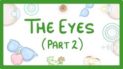 GCSE Biology - How the Eye Works (Part 2) - Accommodation #32 Instructional Video
