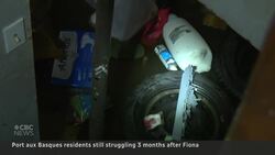 N.L. residents still struggling months after Fiona News Clip