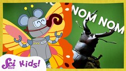 The Wonderful World of Insect Mouths | SciShow Kids Instructional Video