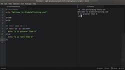 Bash Shell Scripting - Conditional Tests Instructional Video