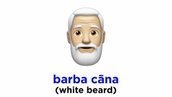 Latin Vocabulary: Colors Instructional Video