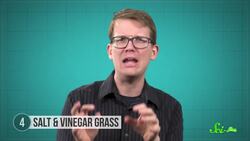 7 Discoveries Scientists Made by Licking Things Instructional Video