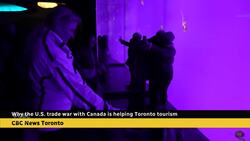 Why the U.S. trade war with Canada is helping Toronto tourism News Clip