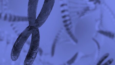 Exploring Genetics: From Genes to Gene Splicing