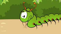 Positive psychology (Part 3) - The Frog and Centipede Instructional Video