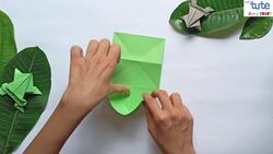 Jumping Frog Instructional Video