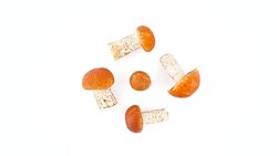 Top view from above of five forest foxy red cap mushrooms. Rotating on the turntable isolated on the white background. Close-up. Macro. Stock Footage