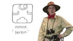 Maya hieroglyphs Instructional Video