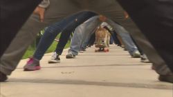 Longest Human Tunnel Travelled through on a Skateboard by a Dog Instructional Video