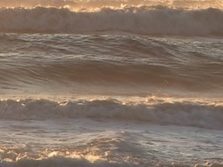 Vibraciones y ondas: video de evaluación Instructional Video