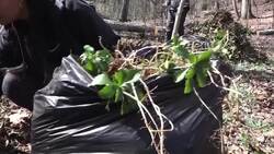 Hofstra University students give up spring break to volunteer across LI News Clip