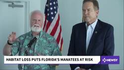 Manatee Deaths In Florida Expected To Reach At Least 1,000 This Year News Clip